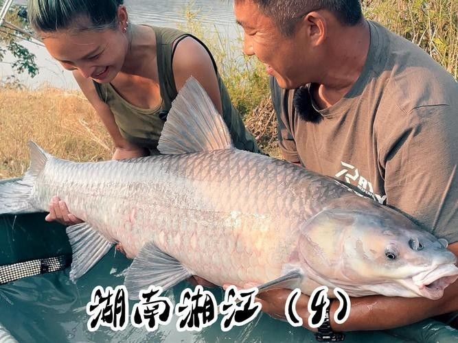 湖南什么魚出名