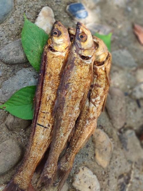 湖南什么魚出名