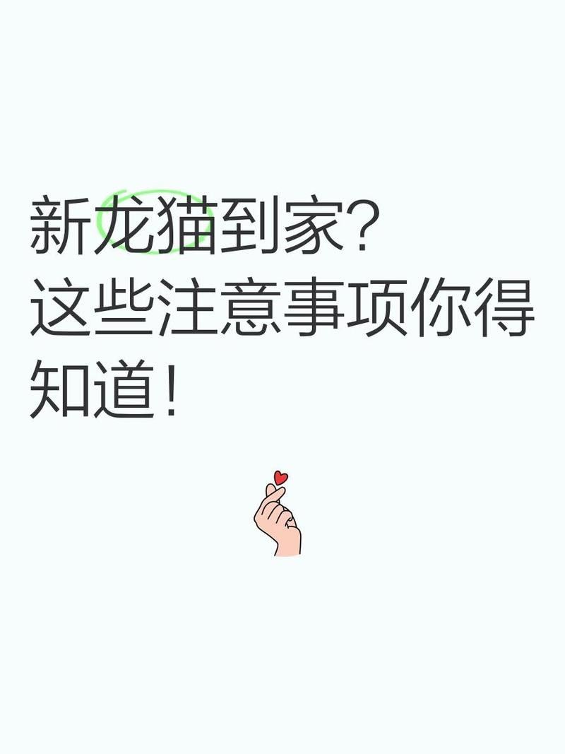 龍貓多久會適應新環境
