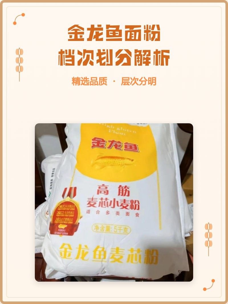 博山金龍魚(yú)屬于什么檔次
