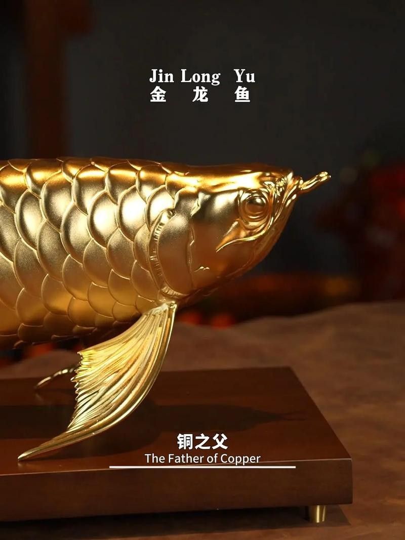金龍魚電商平臺定制產品如何訂購？