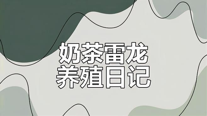 如何預防雷龍魚爛尾