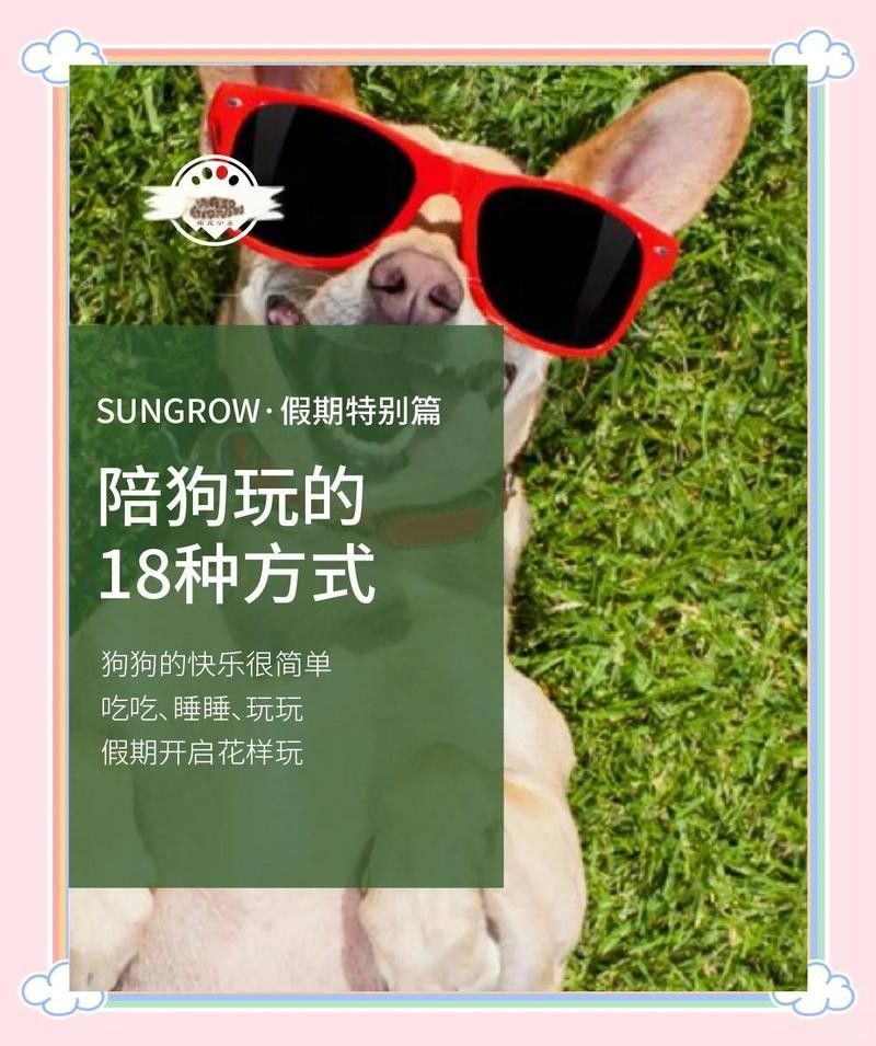 有哪些適合紅龍犬的社交游戲？（5種適合紅龍犬的社交游戲）