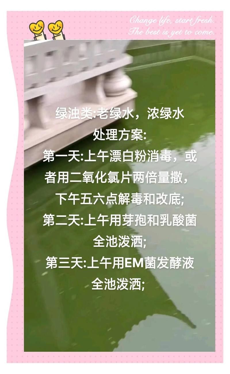 魚塘水質發綠怎么處理（魚塘水質發綠如何處理）