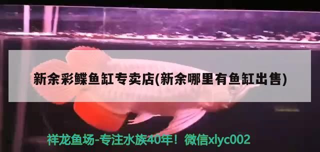 <strong><mark>新余</mark></strong>彩鰈魚缸專賣店(<strong><mark>新余</mark></strong>哪里有魚缸出售)