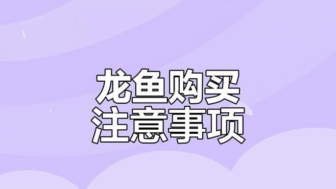 如何選購和處理天山雪龍魚（天山雪龍魚的選購和處理） 如何選購和處理天山雪龍魚（天山雪龍魚的選購和處理） 龍魚百科 第2張