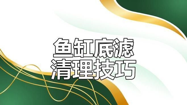 底濾系統如何設置和維護（養魚老道底濾系統保養秘籍職業打jia人在此聽）