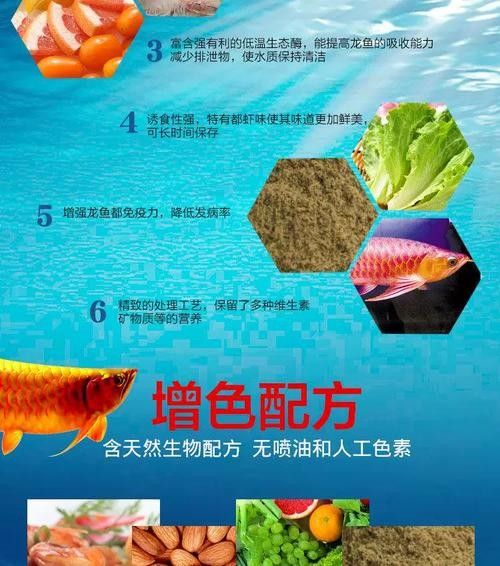 哪些因素會影響紅龍魚的上色？（紅龍魚怎樣發(fā)色更好）
