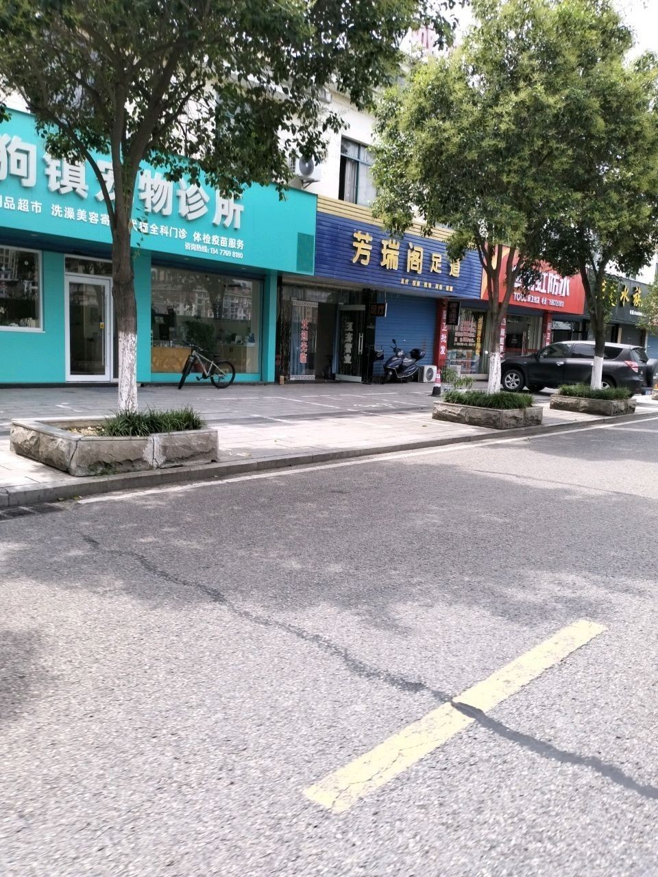 羅田哪個水族館龍魚好？祥龍魚場龍魚（廣州祥龍魚場，龍魚批發）