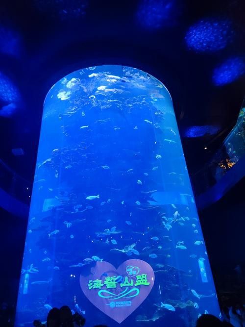 青島哪家魚缸定制店口碑最好？（青島宛記精工魚缸定制店口碑好的魚缸定制廠家推薦）