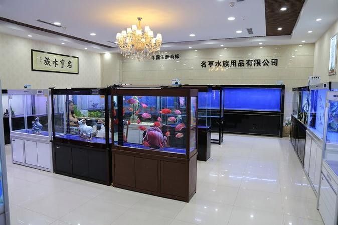 青島哪家魚缸定制店口碑最好？（青島宛記精工魚缸定制店口碑好的魚缸定制廠家推薦）