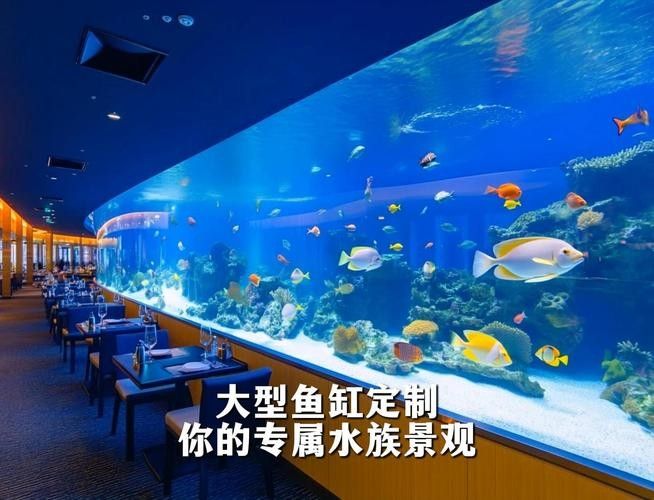 青島哪家魚缸定制店口碑最好？（青島宛記精工魚缸定制店口碑好的魚缸定制廠家推薦）