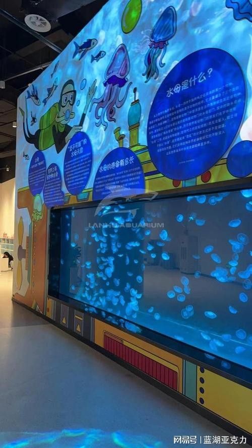青島哪家魚缸定制店口碑最好？（青島宛記精工魚缸定制店口碑好的魚缸定制廠家推薦）