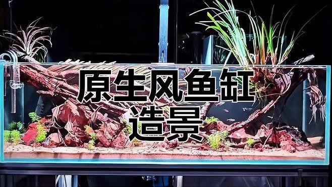 青島哪家魚缸定制店口碑最好？（青島宛記精工魚缸定制店口碑好的魚缸定制廠家推薦）