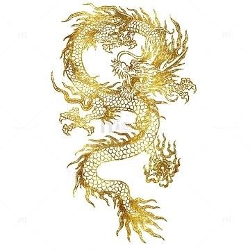 有哪些免費金龍素材網站？（免費金龍素材網站推薦）