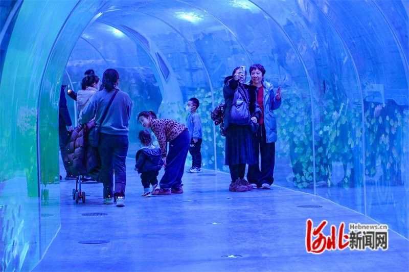 唐山哪個水族館龍魚好？祥龍魚場龍魚（中國年·最唐山海洋館:海之邀約如游夢境感受生命靈動）