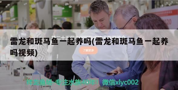 雷龍和斑馬魚一起養(yǎng)嗎(雷龍和斑馬魚一起養(yǎng)嗎視頻)