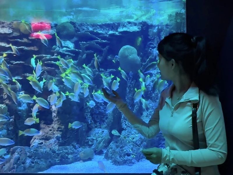 磐石哪個水族館龍魚好？祥龍魚場龍魚