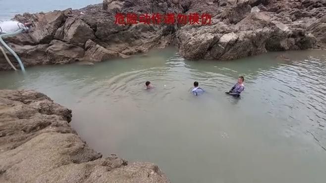 白龍魚的生活習(xí)性