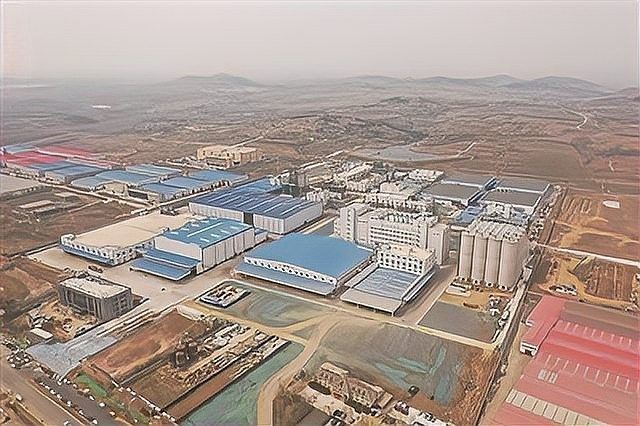 金龍魚青島生產基地的規模有多大