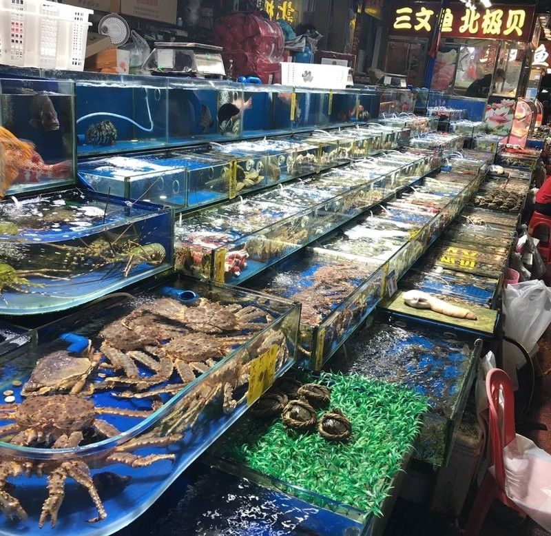 黃沙水產(chǎn)交易市場(chǎng)的營(yíng)業(yè)時(shí)間 黃沙水產(chǎn)交易市場(chǎng)的營(yíng)業(yè)時(shí)間 龍魚(yú)百科 第3張