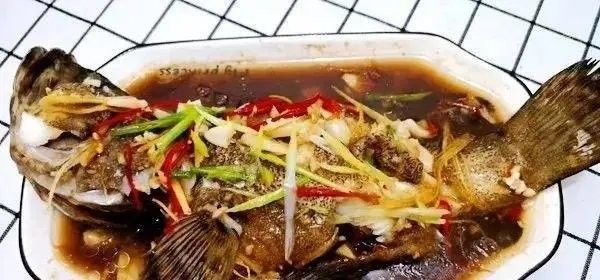 武清龍魚為何要少吃（武清龍魚為什么要少吃） 武清龍魚為何要少吃（武清龍魚為什么要少吃） 觀賞魚百科 第3張