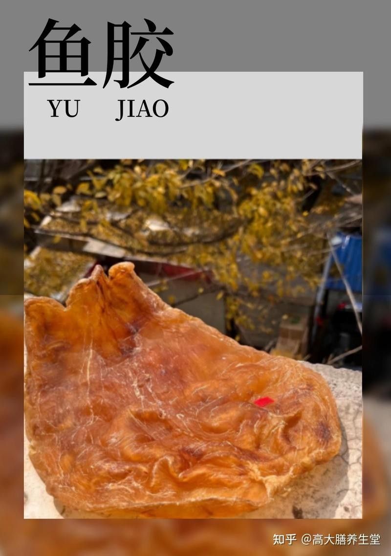 金龍魚膠的挑選和保存方法