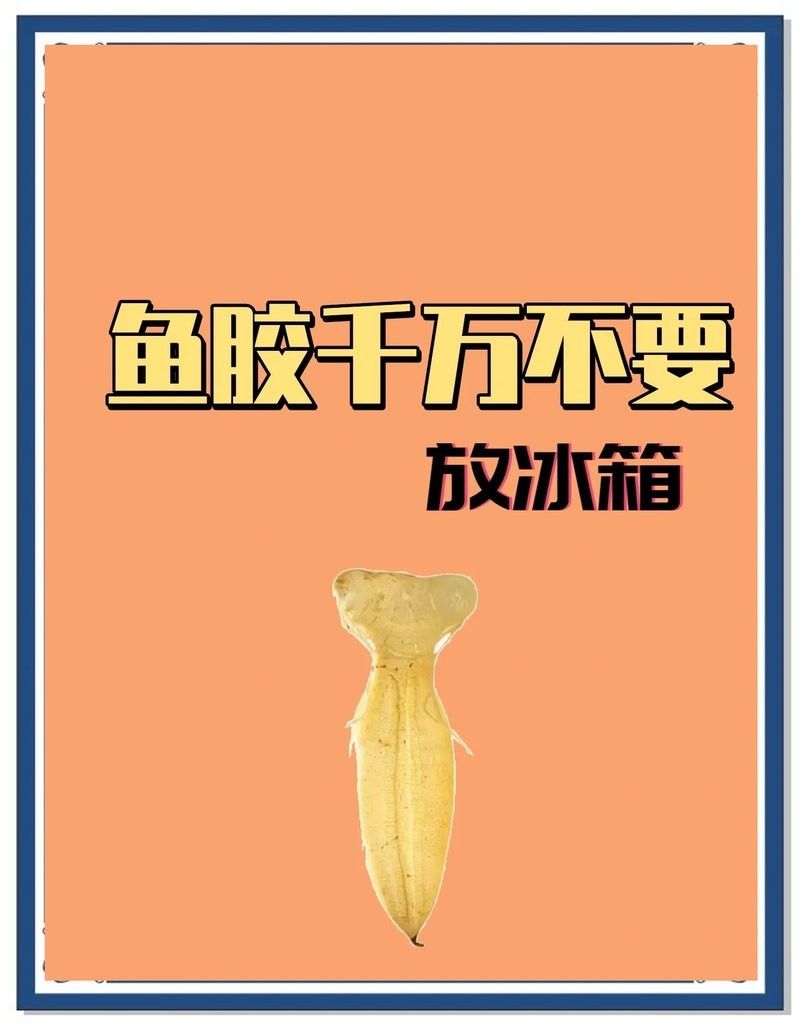 金龍魚膠的挑選和保存方法