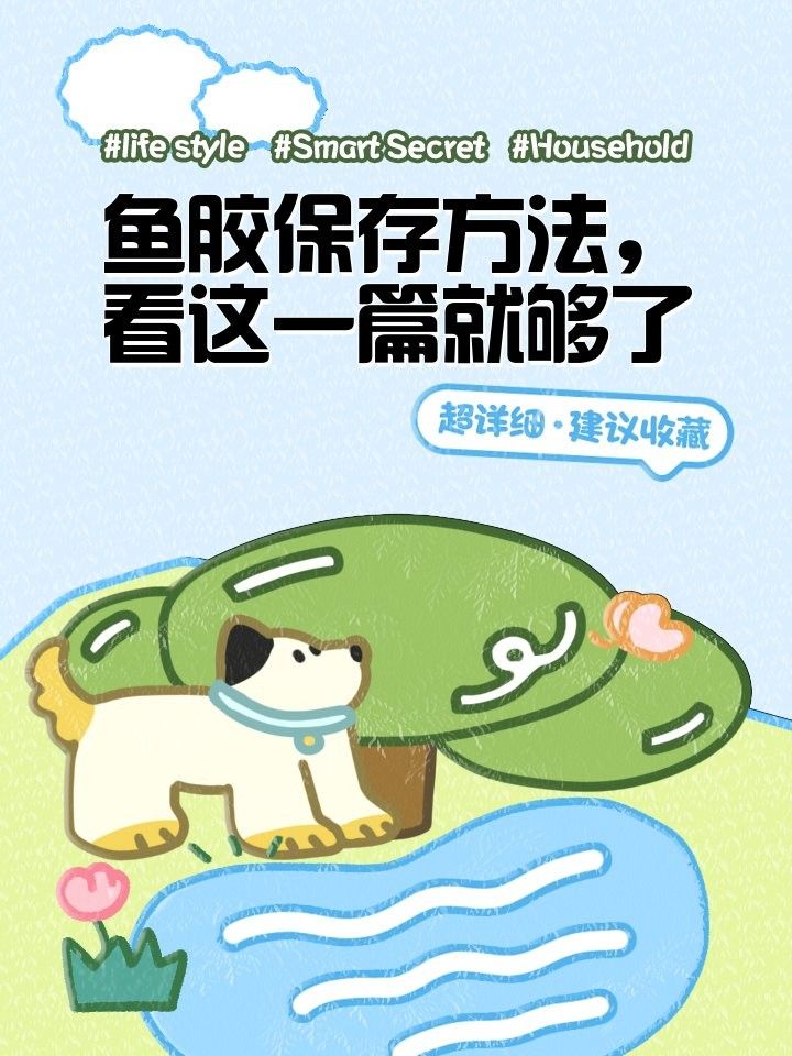 金龍魚膠的挑選和保存方法