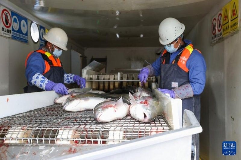 海南藏族自治州龍魚養殖基地的具體地址在哪里