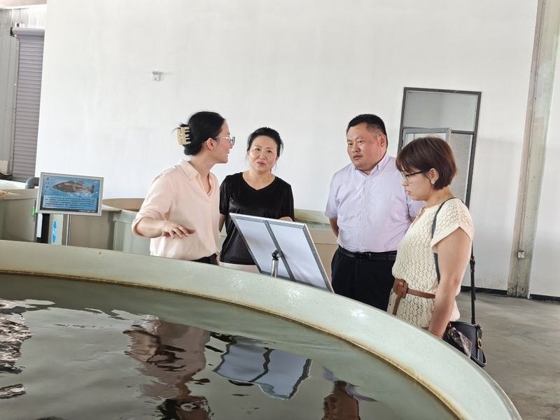 成武縣黨集鱘魚養殖電話多少 成武縣黨集鱘魚養殖電話多少 觀賞魚百科 第3張