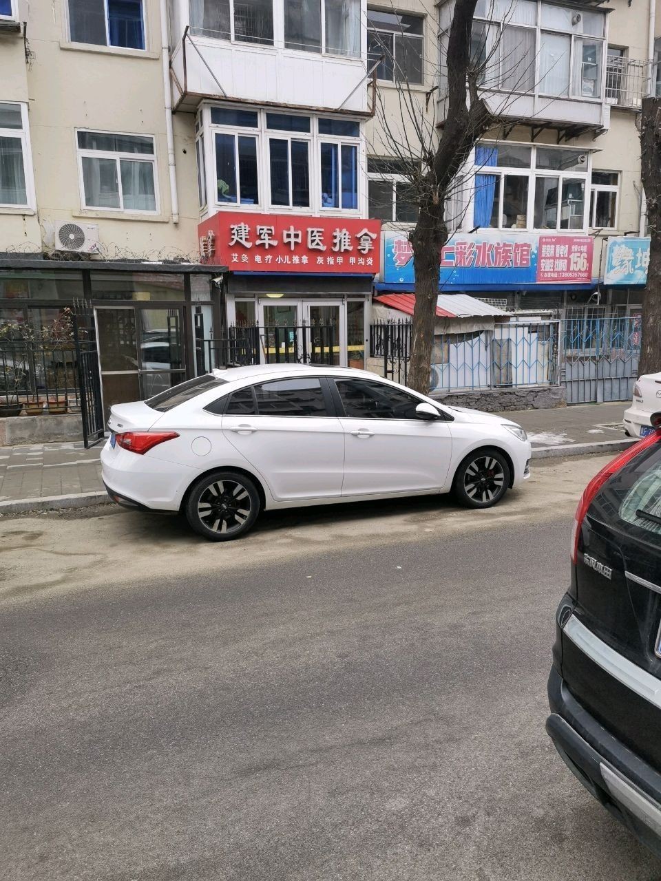 芝罘哪個(gè)水族館龍魚好？祥龍魚場(chǎng)龍魚