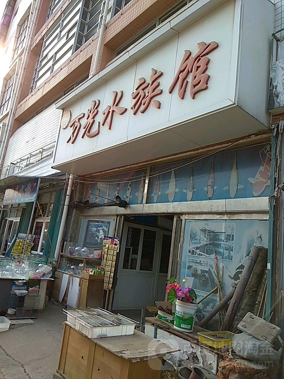 芝罘哪個(gè)水族館龍魚好？祥龍魚場(chǎng)龍魚