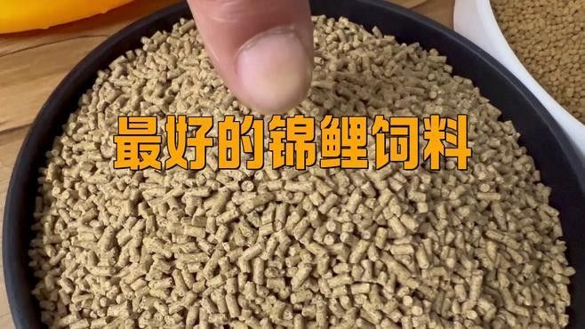 有哪些品牌的錦鯉飼料推薦？（廣受好評的錦鯉飼料品牌及代表產品及代表產品推薦） 有哪些品牌的錦鯉飼料推薦？（廣受好評的錦鯉飼料品牌及代表產品及代表產品推薦） 龍魚百科 第1張