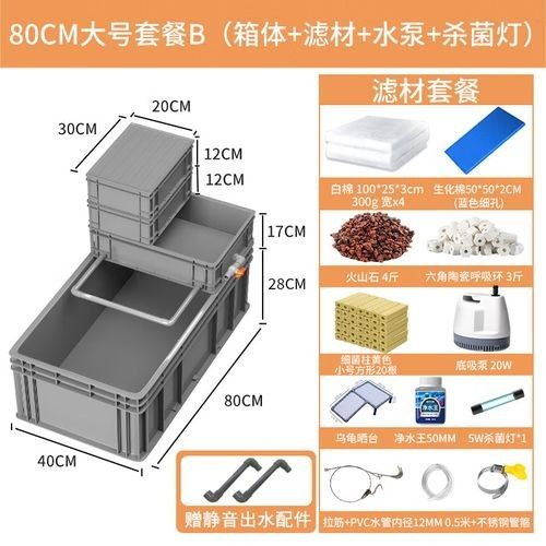 混養時如何減少沖突