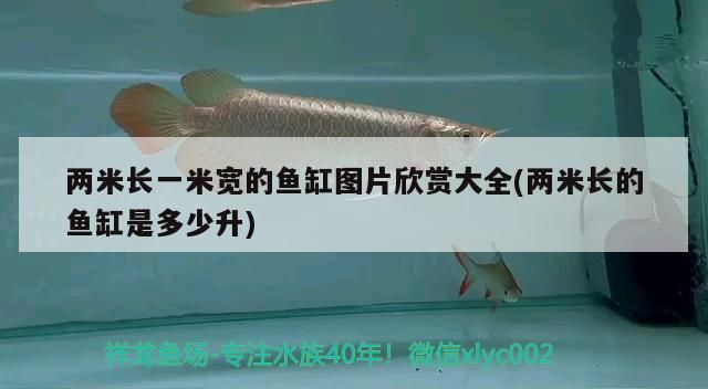 兩米長一米寬的魚缸圖片欣賞大全(兩米長的魚缸是多少升)