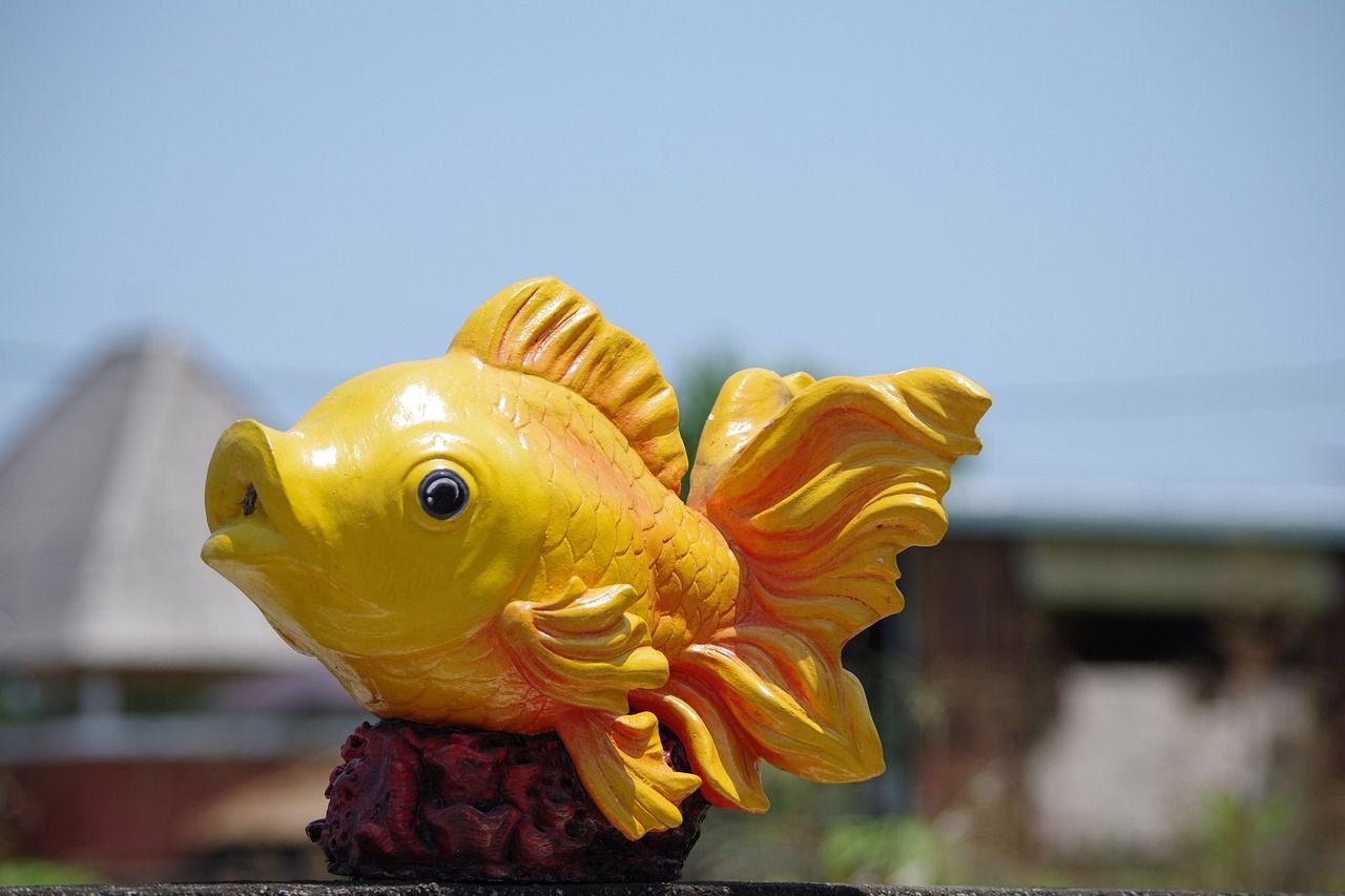 龍魚眼睛下垂怎么辦?。堲~眼睛下垂怎么辦啊視頻）