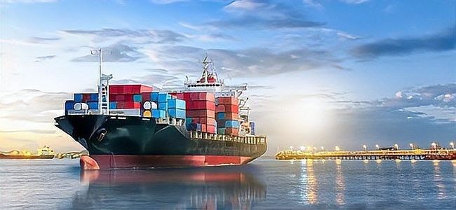 龍魚進口費用大概是多少？