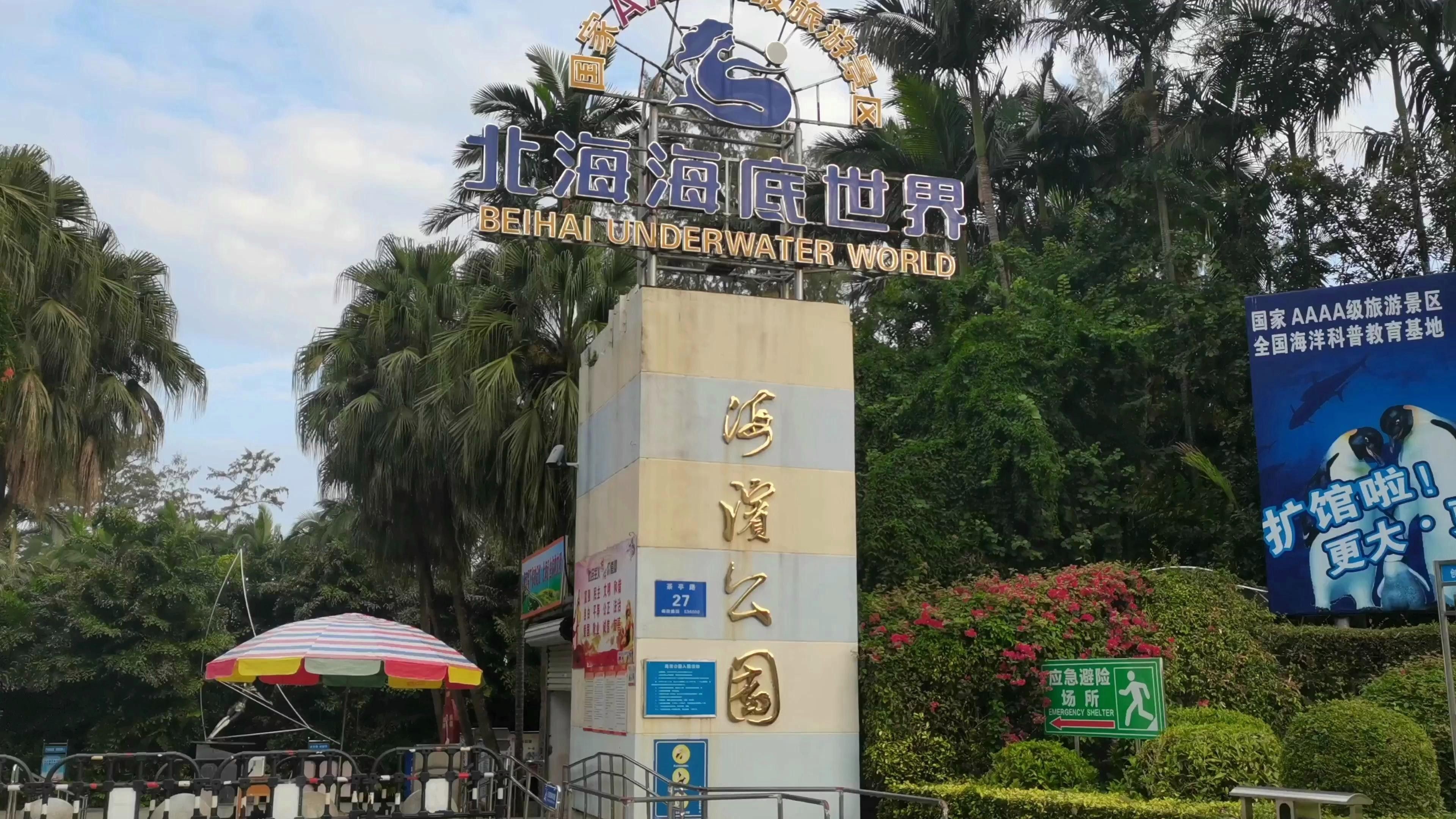 南寧哪個水族館龍魚好？祥龍魚場龍魚