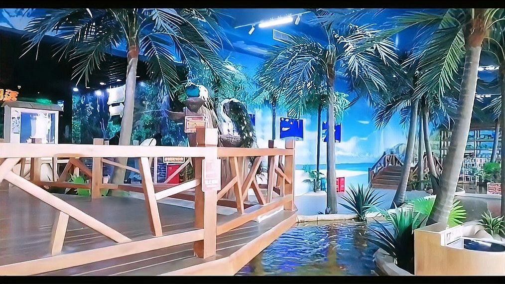 南寧哪個水族館龍魚好？祥龍魚場龍魚