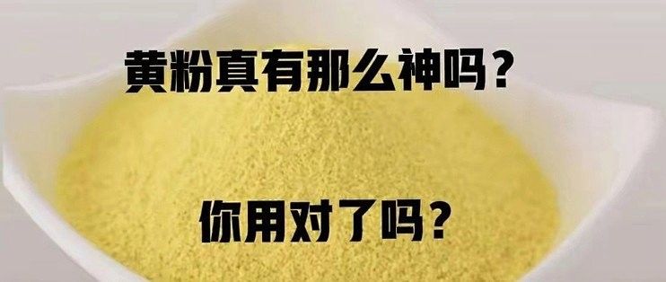 如何判斷黃粉是否起效？（養魚達人都知道的秘密陽光聊三農黃粉魚藥使用全攻略）