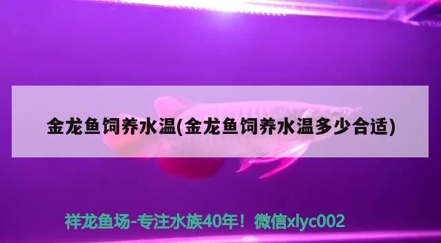 龍魚干蝦有營養(yǎng)嗎 金龍魚飼養(yǎng)水溫(金龍魚飼養(yǎng)水溫多少合適) 觀賞魚百科 金龍魚飼養(yǎng)水溫(金龍魚飼養(yǎng)水溫多少合適) 金龍魚飼養(yǎng)水溫(金龍魚飼養(yǎng)水溫多少合適) 觀賞魚百科
