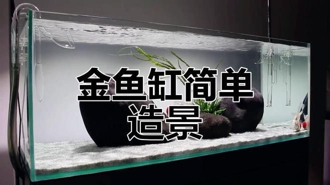 如何設置魚缸造景以避免沖突？（如何設置魚缸造景時，避免沖突）