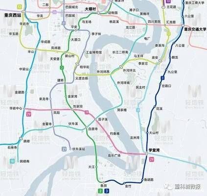 金龍魚小時候發黑還是發白