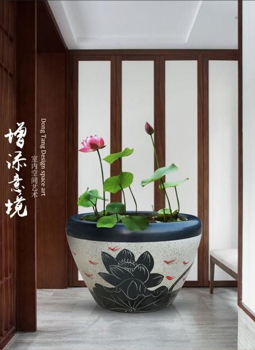 匯龍魚缸哪個系列最好（匯龍魚缸哪個系列最好匯龍魚缸哪個系列最好）