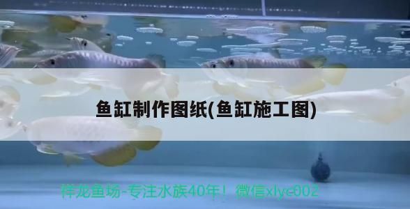 魚缸制作圖紙(魚缸施工圖) 魚缸制作圖紙(魚缸施工圖) 觀賞魚百科