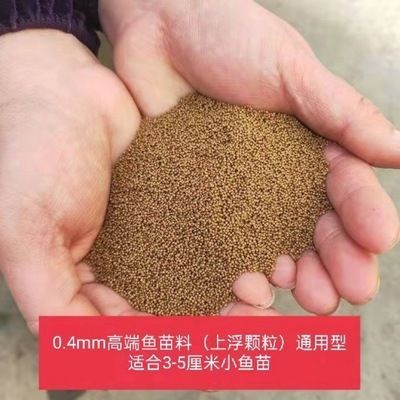 <strong><mark>湖州</mark></strong>觀賞魚批發市場：<strong><mark>湖州</mark></strong>觀賞魚市場觀賞魚市場在哪里，觀賞魚市場前景咋樣