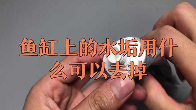 有哪些清洗魚缸的小妙招？（清洗魚缸的小妙招）