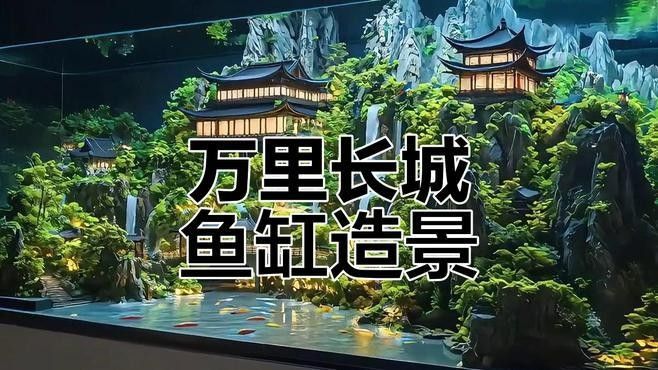 飛鳳魚和龍魚混養(yǎng)需要哪些裝飾物？（鳳魚和龍魚混養(yǎng)需要注意什么，飛鳳魚和龍魚混養(yǎng)需要注意什么）