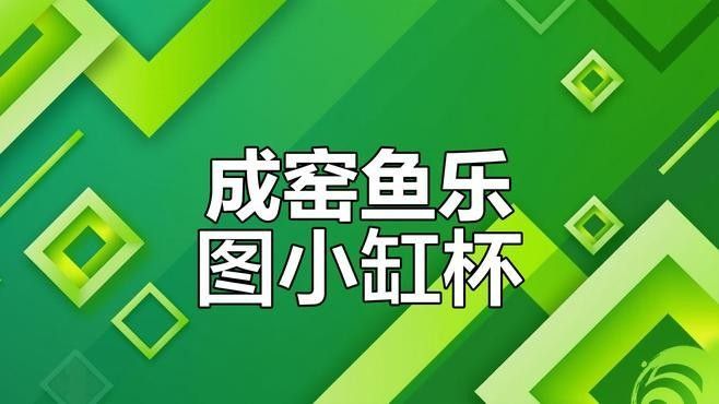 飛鳳魚和龍魚混養(yǎng)需要哪些裝飾物？（鳳魚和龍魚混養(yǎng)需要注意什么，飛鳳魚和龍魚混養(yǎng)需要注意什么）